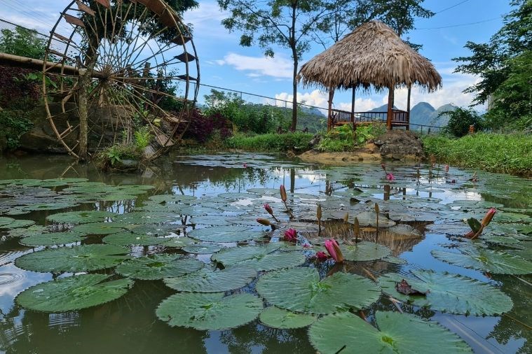 Khách sạn Ebino Pù Luông Resort & Spa Thanh Hóa